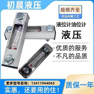 100T油尺液位控制器水位计液位显示料位计 5油位计YWZ 液位计LS