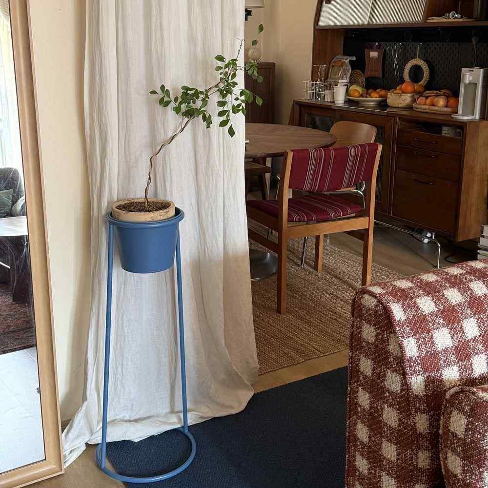 花架普鲁士蓝色花架室内极简约可移动设计阳台花盆栽客厅现代铁艺