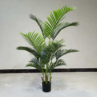 葵简约装 饰凤尾落地北欧红绿植物尾旅人植仿真客厅葵蕉室内网散