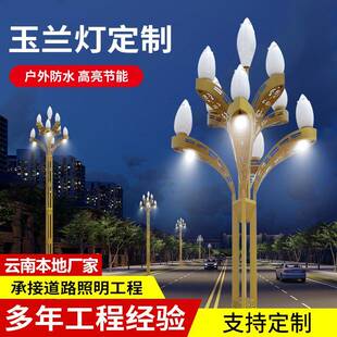 云南户外玉兰灯文旅景区市政主干道工程照明广场高杆景观中华灯