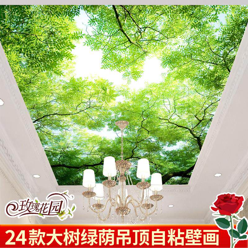 天花板悬吊式天花板壁纸自粘壁纸3d立体壁画 画创意墙贴画 画贴纸