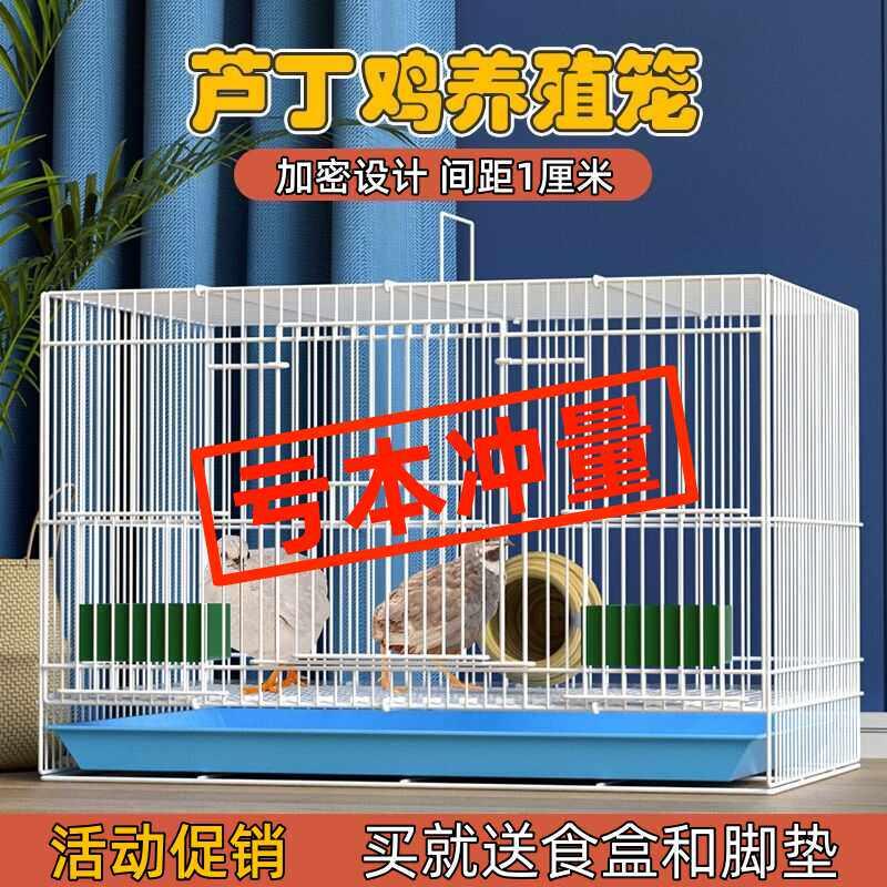 养芦丁鸡笼子家用室内加密养殖笼幼鸡小鸡小鸭子专用笼可折叠铁笼