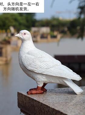 创意新款仿真鸽子摆件花园装饰品庭院户外阳台走廊装饰品厂家直销