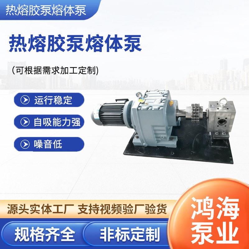 熔体齿轮泵RT熔体泵热熔胶泵塑料挤出机不锈钢熔体泵温熔喷泵