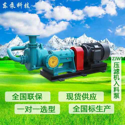 山东东泵 渣浆泵杂质泵 厂家直供ZJW污泥处理泵压滤机入料泵