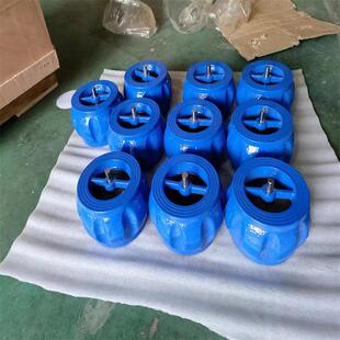 H71X 16DN125单向阀供应铸铁201南瓜型止回阀