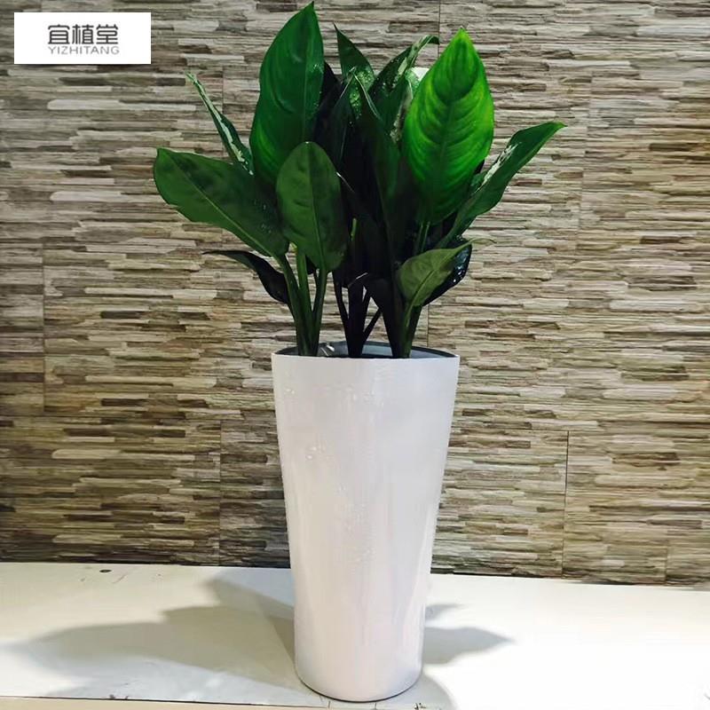 宜植堂现代简约三角形落地款大花盆室内室外绿植盆栽种植大号花盆