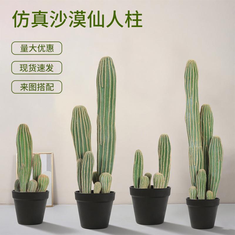 沙漠仙人柱室内仿真仙人掌落地小摆件沙生假植物商场橱窗造景装饰