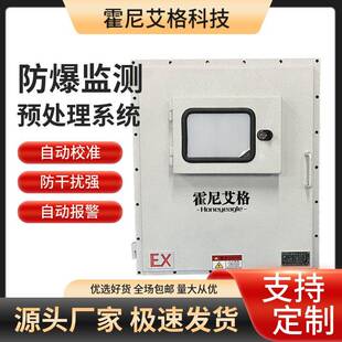 防爆氢气气体检测仪在线监测预处理系统非甲烷总烃厂界N2监测系统