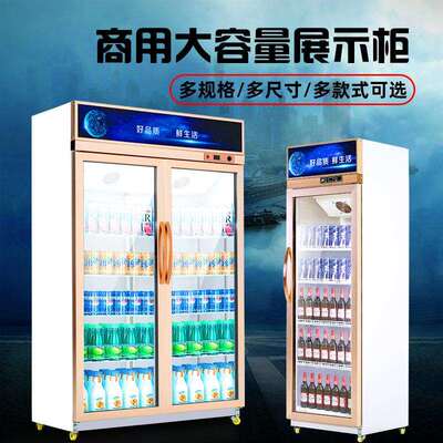 外贸出口冷藏展示柜立式双门铜管商用饮料冷饮蔬菜展示fridge