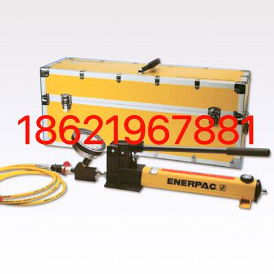P2282*2008套装成套恩派克超压2800bar手动泵ENERPAC压力表油管