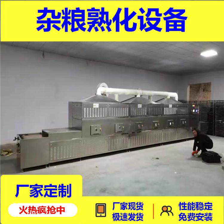 低温烘焙熟五谷杂粮荞麦熟化设备荞麦粉粗粮干燥熬粥干燥杀菌济南