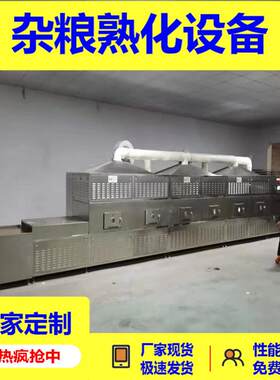 低温烘焙熟五谷杂粮荞麦熟化设备荞麦粉粗粮干燥熬粥干燥杀菌济南