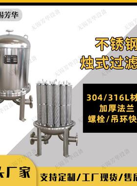 芳华不锈钢折叠滤芯过滤器 烛式烧结滤芯过滤器 精密保安过滤器