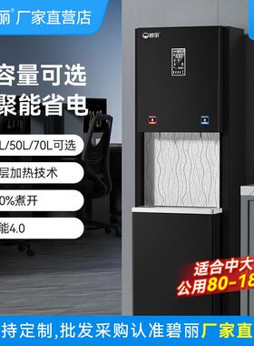 碧丽开水器商用全自动电热智能ro反渗透大容量饮水机净水机器一体