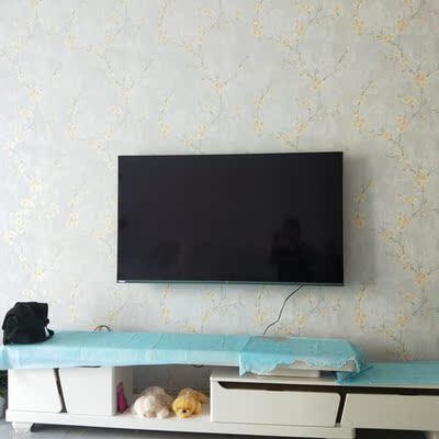 实话真说长虹55S7G与海信55E52D哪个口碑好，评测揭秘真相