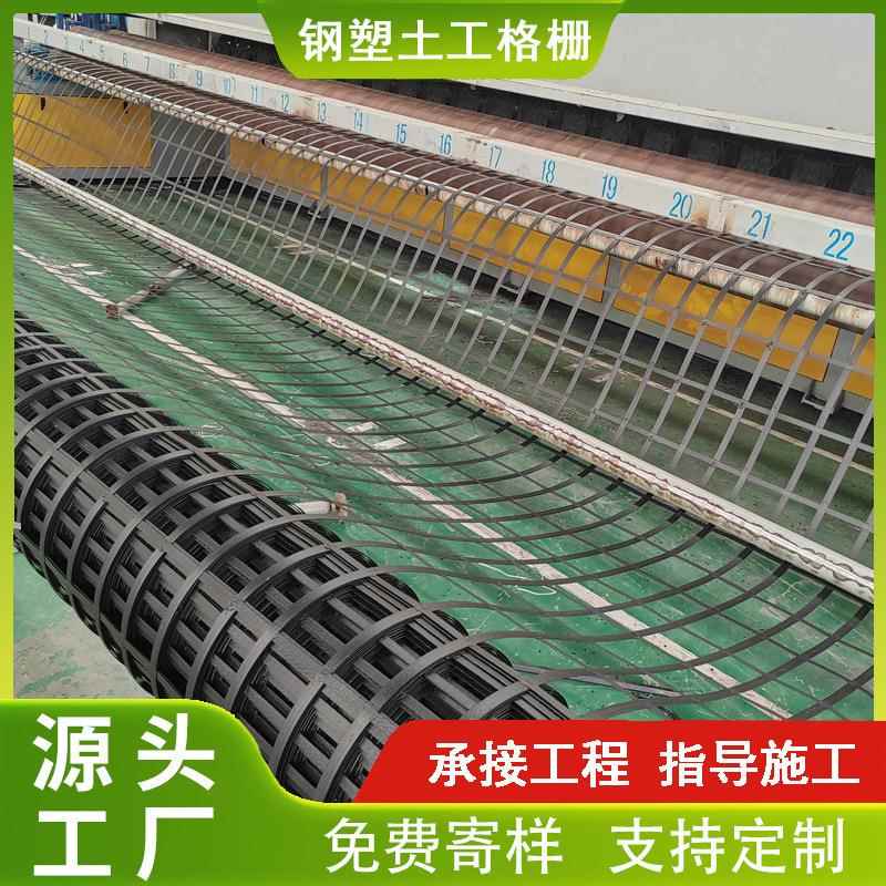 东厂家定山钢塑土工格栅 路基挡制土墙加筋双向G526SZ土钢塑工格