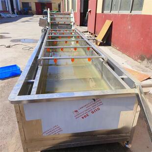 包装 袋气泡清洗机松茸牛肝菌菇清洗机器鹿茸菇清洗设备