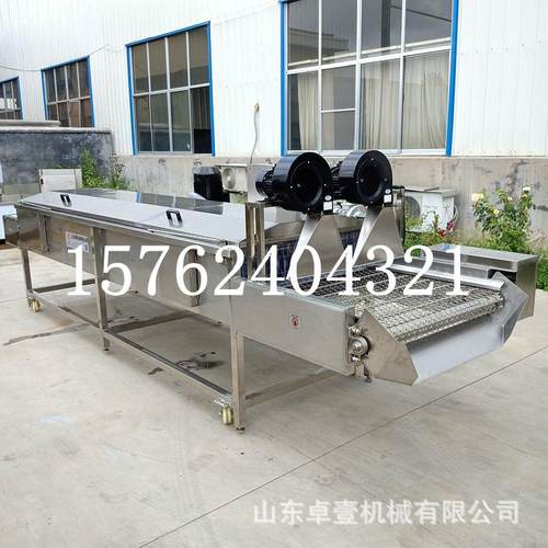 商用车子果蔬清厘机洗姜 全自动气泡清洗机ZY-01 高压喷淋大洗菜