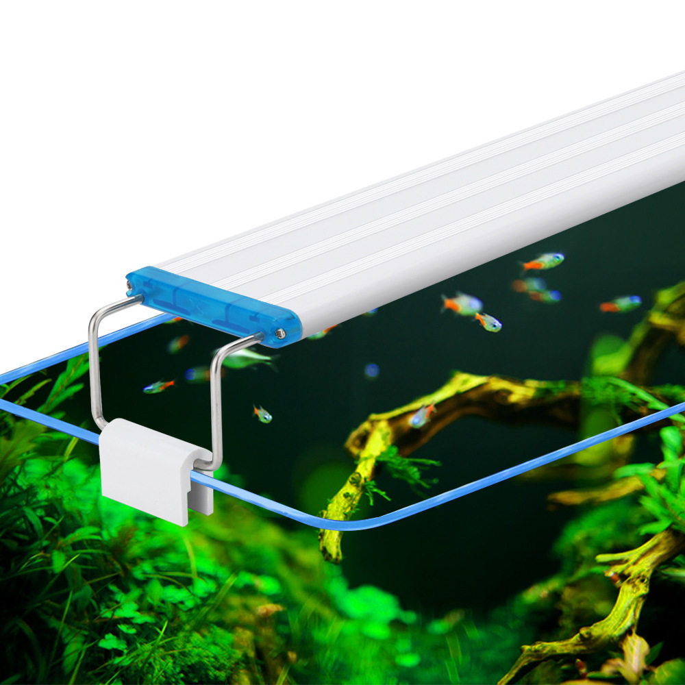 跨境水族蓝白白光色变照明器材图片