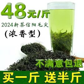 三月溪毛尖2024新茶叶(新茶叶)信阳毛尖高山云雾，绿茶散装春茶浓香型共750g