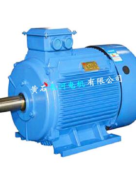 永磁同步电机 FTY132000-2 低摩擦永磁同步电机