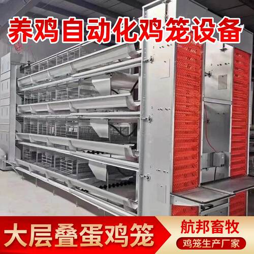 大层叠立式多层蛋鸡笼养殖场热镀锌全自动集蛋清粪养鸡蛋鸡笼厂家