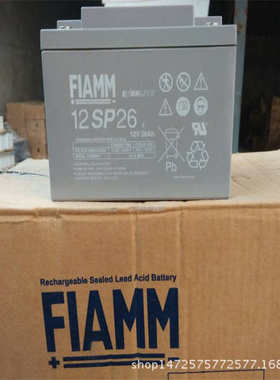 非凡2SLA100/G2V100AH蓄电池意大利厂家非凡2V100AH