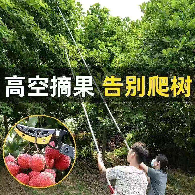 摘果神器龙眼摘水果剪刀枇杷采摘器修枝剪伸缩高枝剪高空槐花