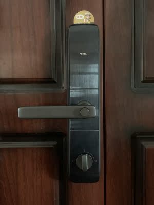 tcl家用把手款防盗门电子k5智能锁是哪里生产的，值吗
