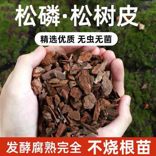 松树皮腐熟大块发酵松磷兰花栽培基质铁皮石斛专用植料兰科营养土
