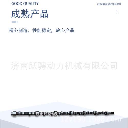 适济柴驰动Z12V190B型及2000型柴油机Z12VB.06.30.01.02凸轮轴