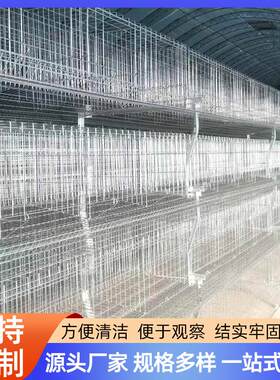 蛋鸡笼野鸡笼雏鸡笼元宝架阶梯式鸡笼野鸡家禽养殖笼三层四层立式