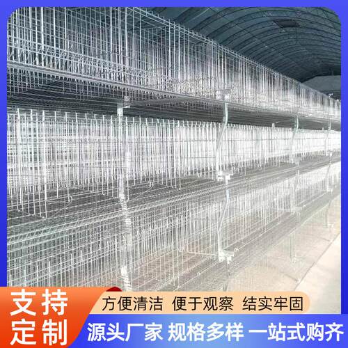 蛋鸡笼野鸡笼雏鸡笼元宝架阶梯式鸡笼野鸡家禽养殖笼三层四层立式