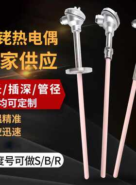 铑刚玉wrp热电偶铂热电偶-热电偶130传感管铂高温型铑s温度