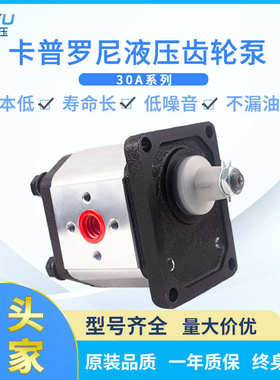 Caproni卡普罗尼液压齿轮泵 低噪音高压力圾压缩清运车用液压油泵