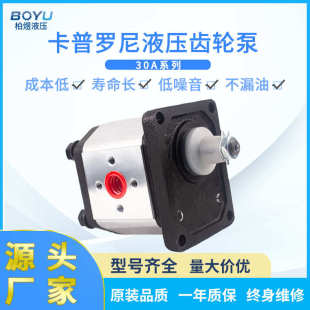 Caproni卡普罗尼液压齿轮泵 低噪音高压力圾压缩清运车用液压油泵