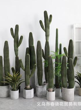 仿真龙凤UTY柱仙人掌大型盆栽假人沙柱热带漠窗绿植仙软装橱布置