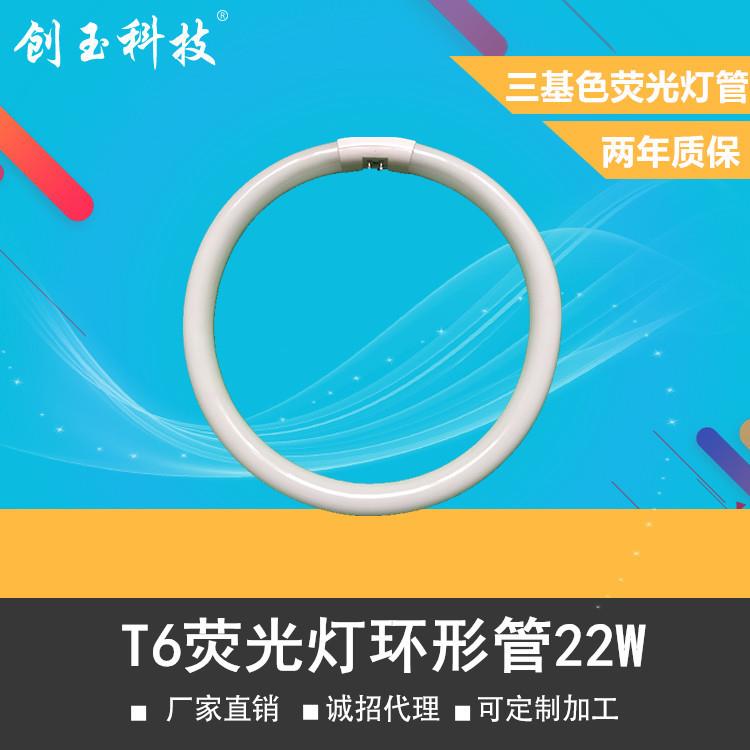 厂家 T6-22W环形荧光灯灯管 T6吸顶灯灯管 质保两年
