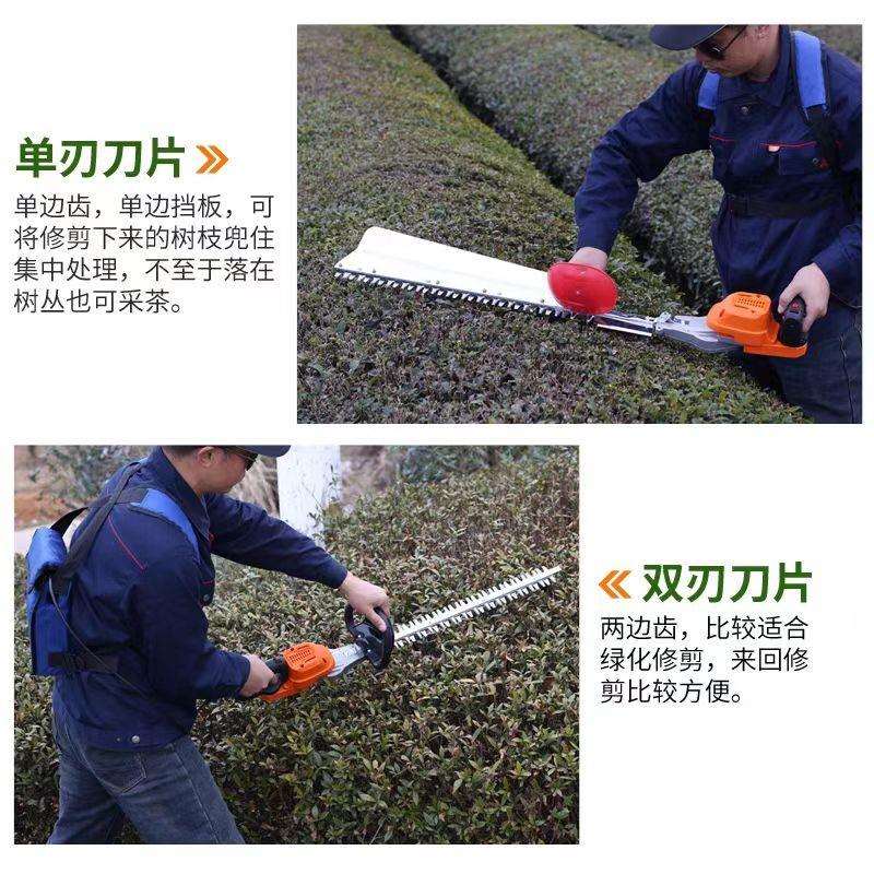 捍绿充电式无刷电动绿篱机背负式茶树修剪机大功率园林绿化篱笆剪