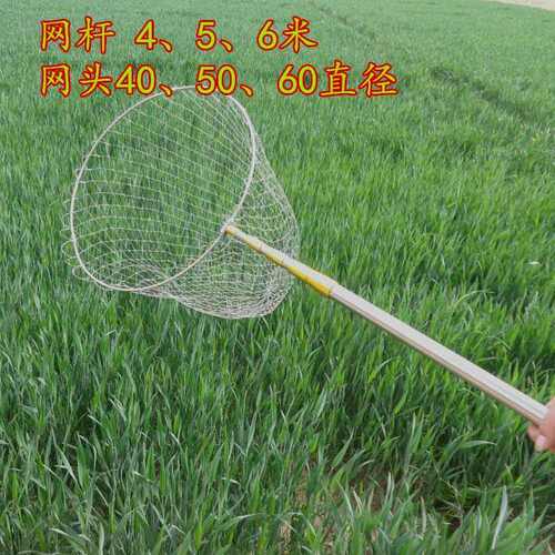大物抄网伸缩网兜不锈钢钓鱼抄网加厚可折叠防滑打鱼一体捞鱼网杆
