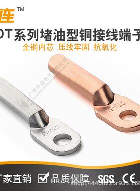 中连DT堵油型接线铜鼻子紫铜镀锡/酸洗10/16/25/35多规格可选