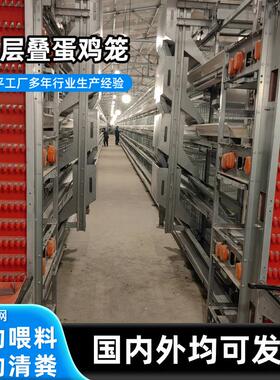 全自动养殖设备H型层叠式蛋鸡笼养鸡场小层叠鸡笼三层四层蛋鸡笼