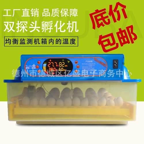 伊科贝特彩屏孵化机全自动家用型鸡鸭鹅小型孵化器孵蛋器孵化箱