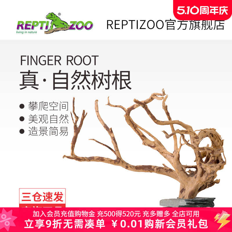瑞皮Reptizoo饲养缸睫角树栖爬虫造景爬宠天然树根鱼缸杜鹃根摆件