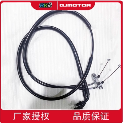 原厂QJMOTOR钱江摩托车配件踏板鸿125QJ125T-6J/6C油门线双拉线