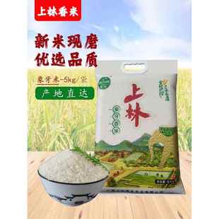 2025年新米广西上林香米象牙香米97米农家大米软香糯10斤真空包邮