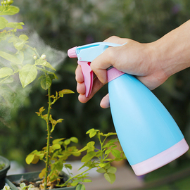 家用洒水壶喷水壶浇花浇水园艺喷雾器，淋小压力喷壶瓶消毒清洁专用