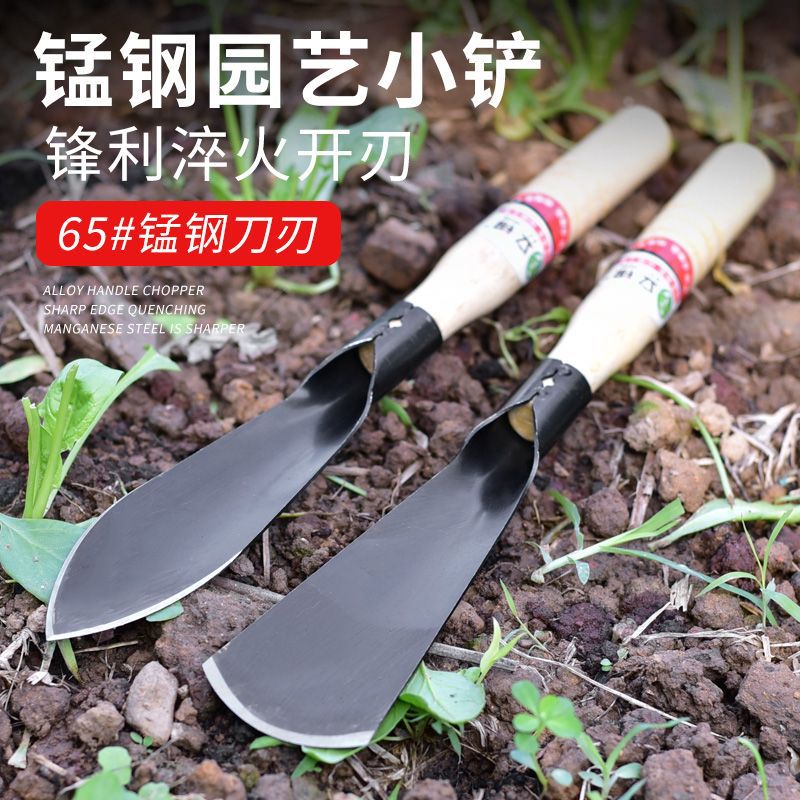 现货速发冰护铁锹小铲子园林艺挖野菜铁铲大蒜工具赶海家农用种菜