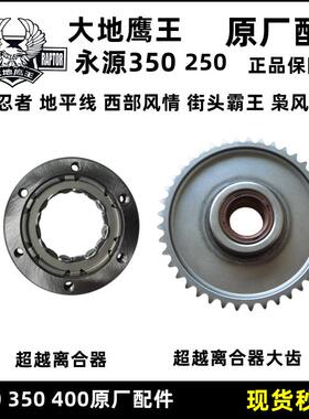 大地鹰王DD250G-3NE-9C永源350 400小忍者机车超越离合器启动盘
